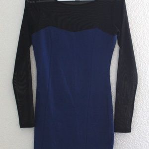 Bodycon Mini Dress with Sheer Sleeves